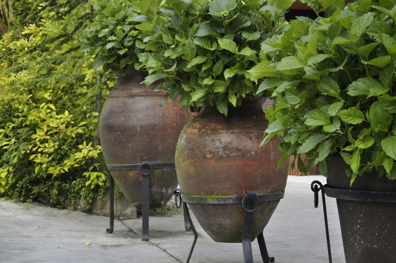 Pazo De Monterrei Hotell Ourense Eksteriør bilde